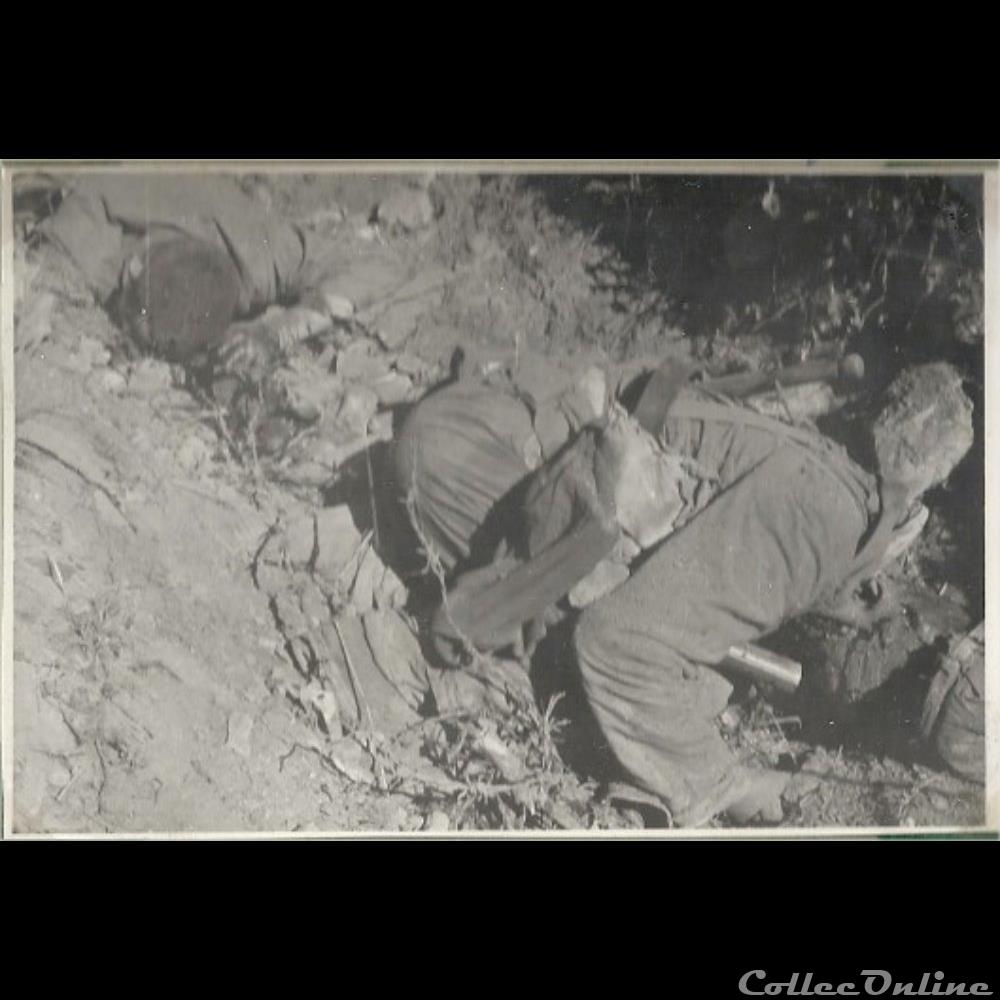 photographie poid opium europe arrowhead