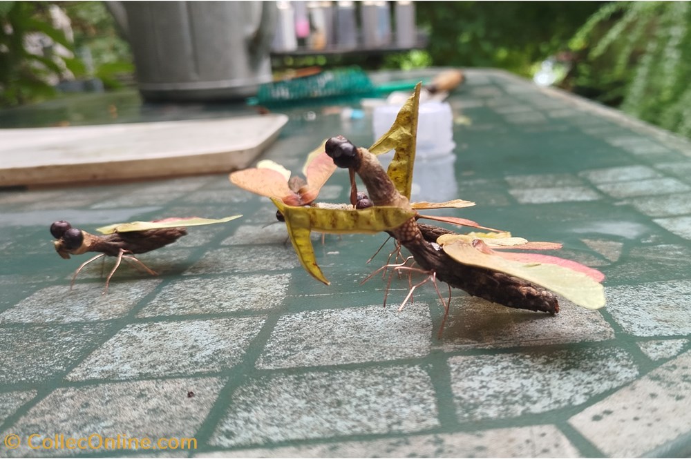 divers insecte imaginaire
