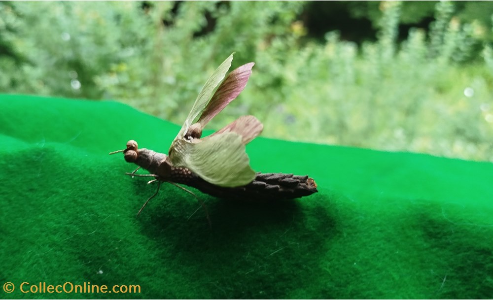 Insecte imaginaire divers insecte imaginaire