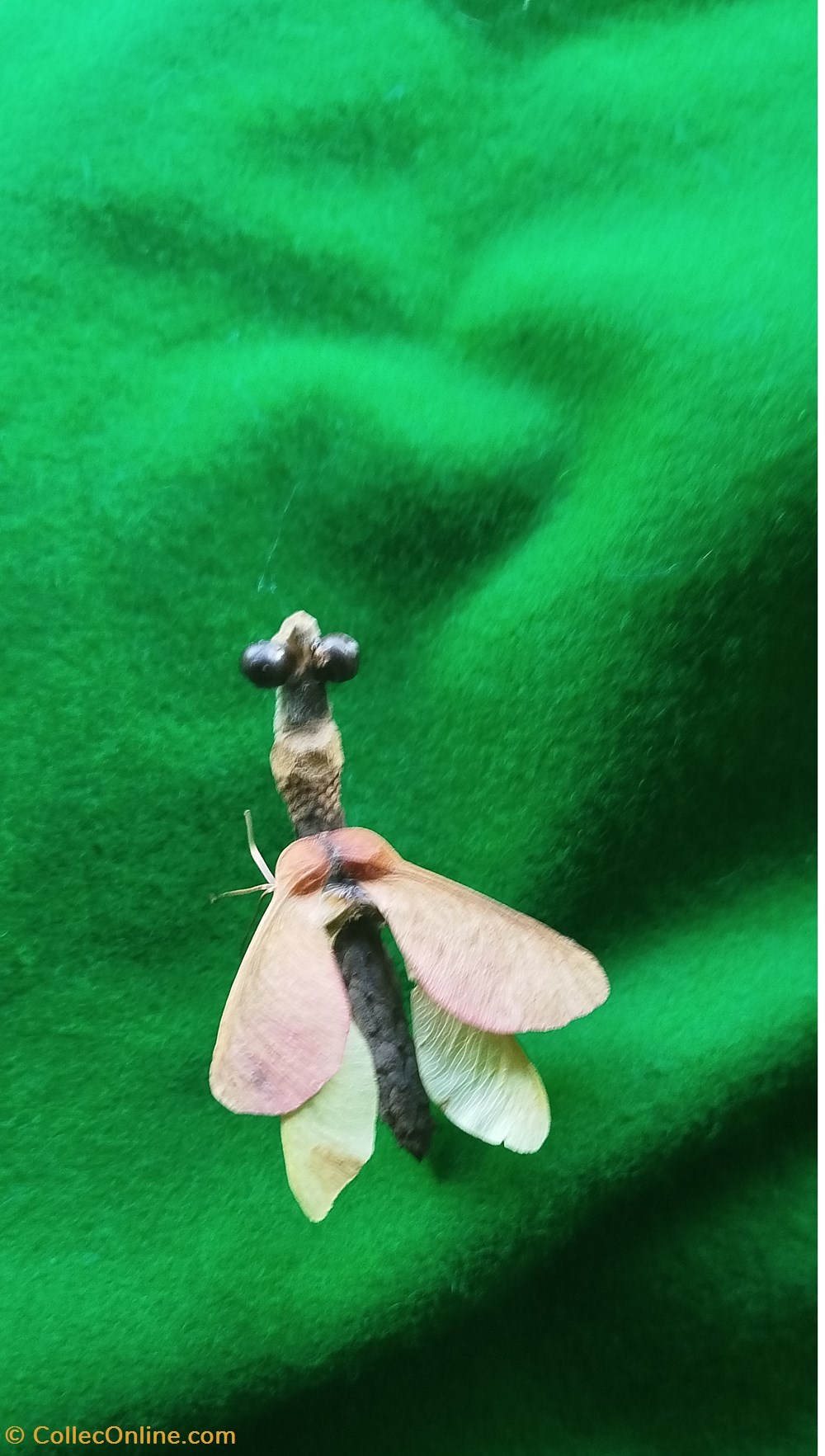 divers insecte imaginaire