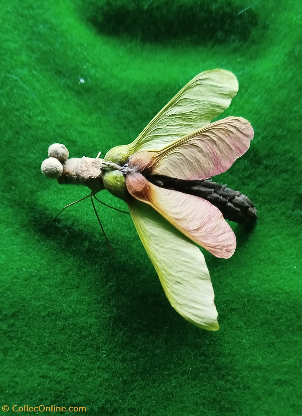 Insecte imaginaire divers insecte imaginaire