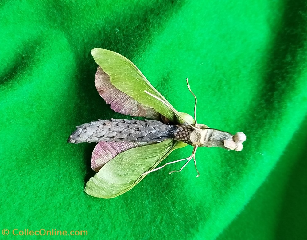 Insecte imaginaire ( ou pas). divers insecte imaginaire ou pas
