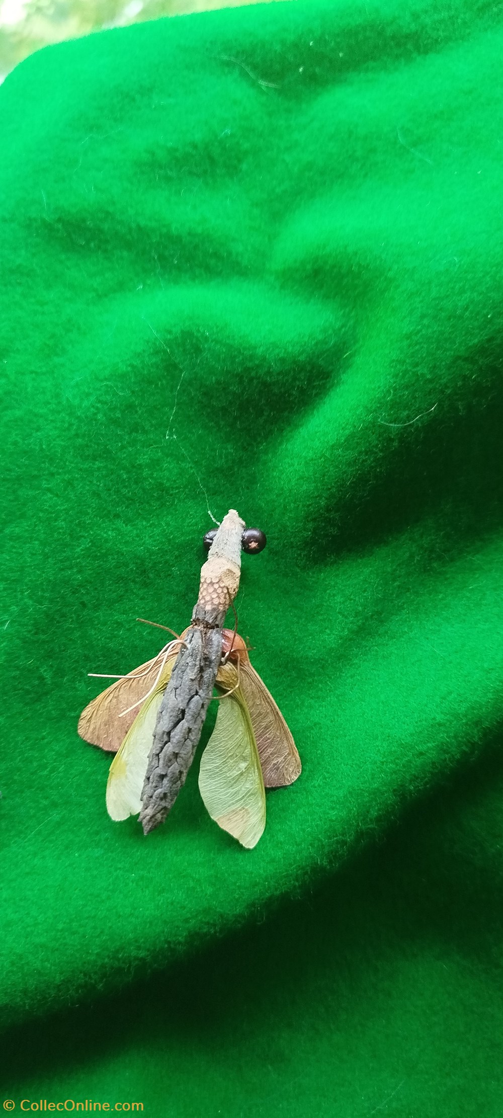 divers insecte imaginaire