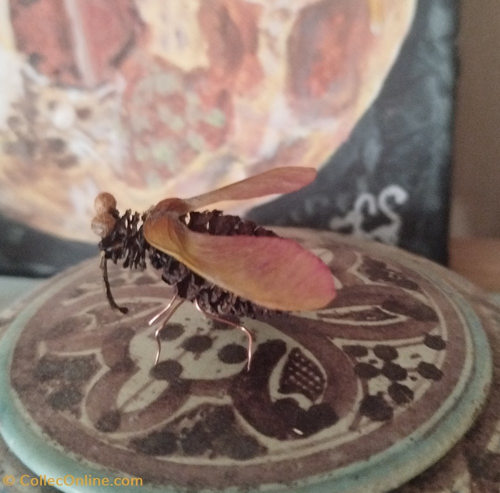 Insecte imaginaire ( ou pas). 2 divers insecte imaginaire ou pas