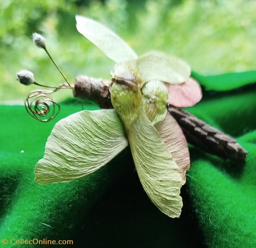 divers insecte imaginaire
