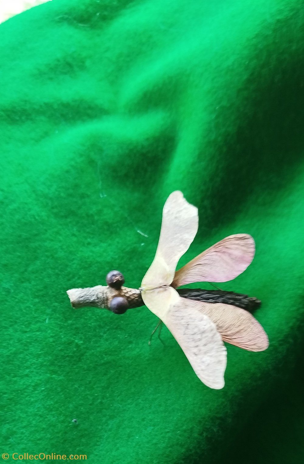 divers insecte imaginaire
