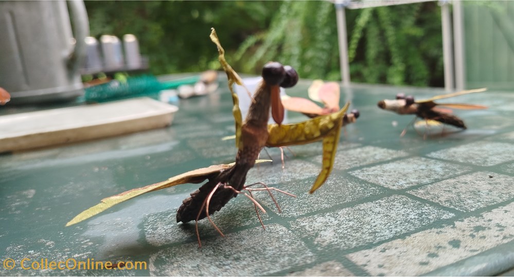 divers insecte imaginaire