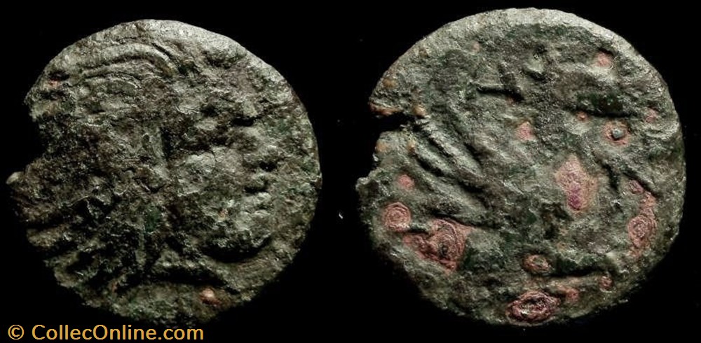 THRACE, PANTIKAPAION AE16 Dichalkon coin ancient b to greek thrace pantikapaion ae16 dichalkon