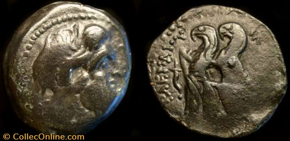 coin ancient b c greek ptolemy x ae20