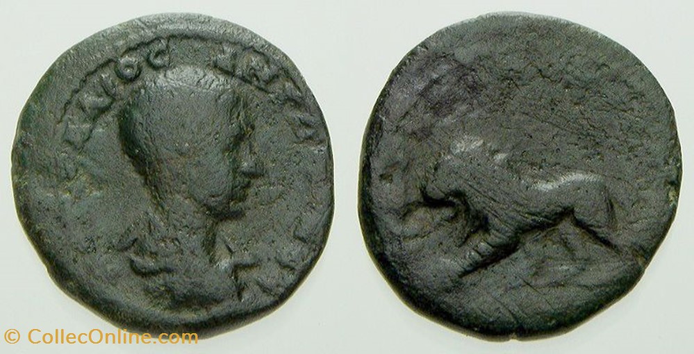 DIADUMENIAN Assarion Moushmov 629 , Lion coin ancient b c to roman republicain imperial diadumenian assarion moushmov 629 lion