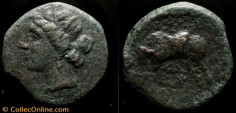 SICILY, SYRACUSE, HIERON II AE19 coin ancient b to greek sicily syracuse hieron ii ae19