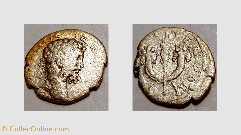 SEPTIMIUS SEVERUS Denarius, RIC 374a, Crossed Cornucopia coin ancient b to roman republicain imperial septimius severus denarius ric 374a crossed cornucopia