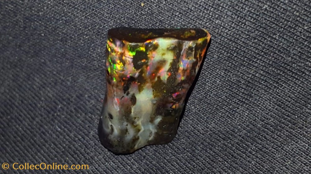Opale de bois fossilisé indonésienne 12.54 carats 2 mineraux meteorites opale de bois fossilise indonesienne 12 54 carats