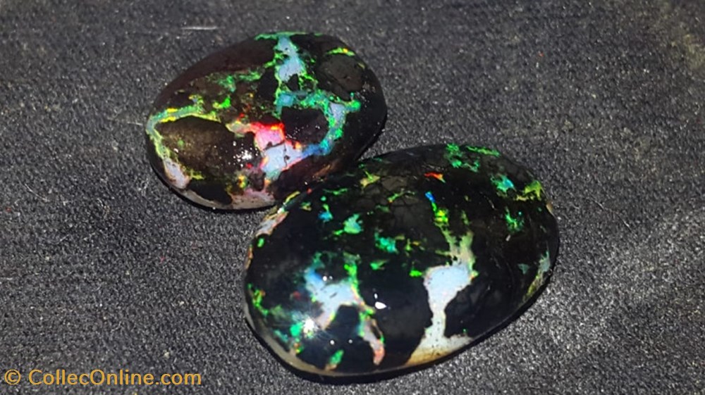 Opales de bois fossilisé polies indonésiennes 7 carats 2 mineraux meteorites opales de bois fossilise polies indonesiennes 7 carats