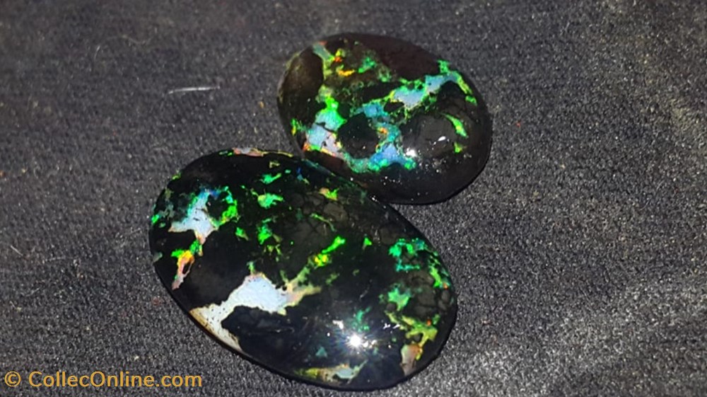 Opales de bois fossilisé polies indonésiennes 7 carats 3 mineraux meteorites opales de bois fossilise polies indonesiennes 7 carats