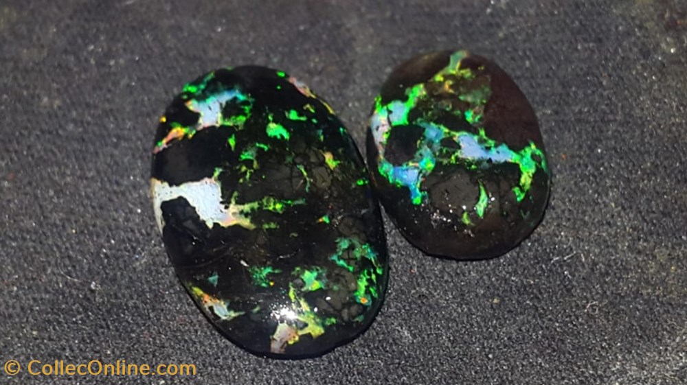 Opales de bois fossilisé polies indonésiennes 7 carats mineraux meteorites opales de bois fossilise polies indonesiennes 7 carats