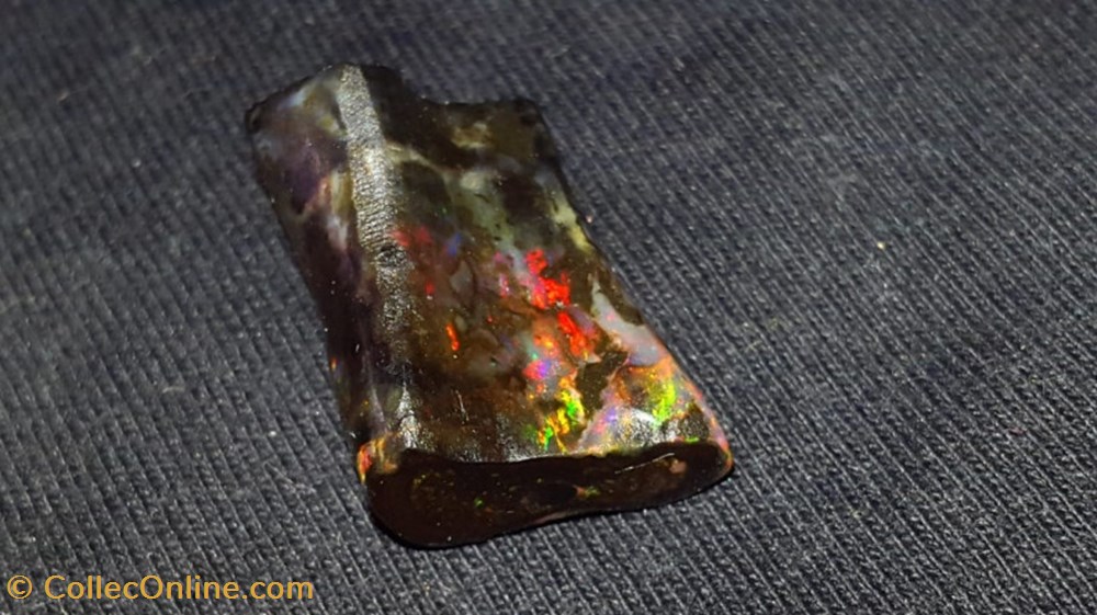 Opale de bois fossilisé indonésienne 12.54 carats mineraux meteorites opale de bois fossilise indonesienne 12 54 carats