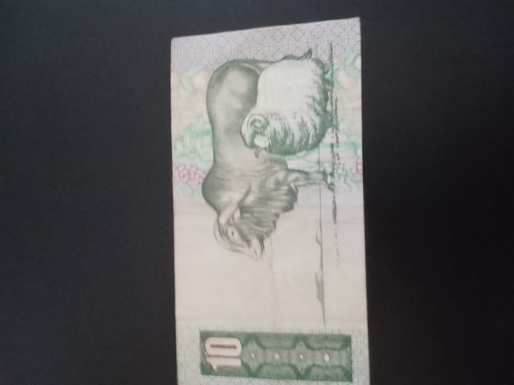 banknotes img20240212154351