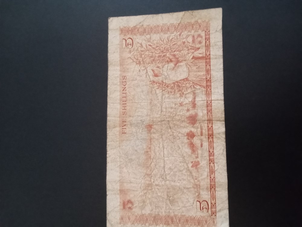banknotes img20240212154102