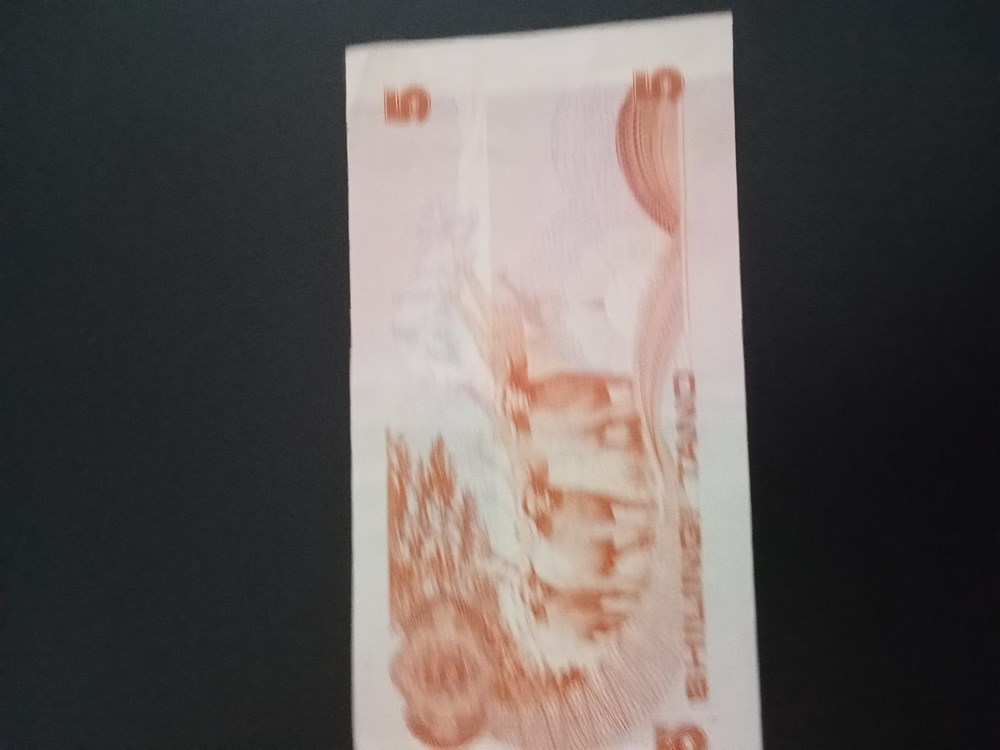 banknotes img20240212154113