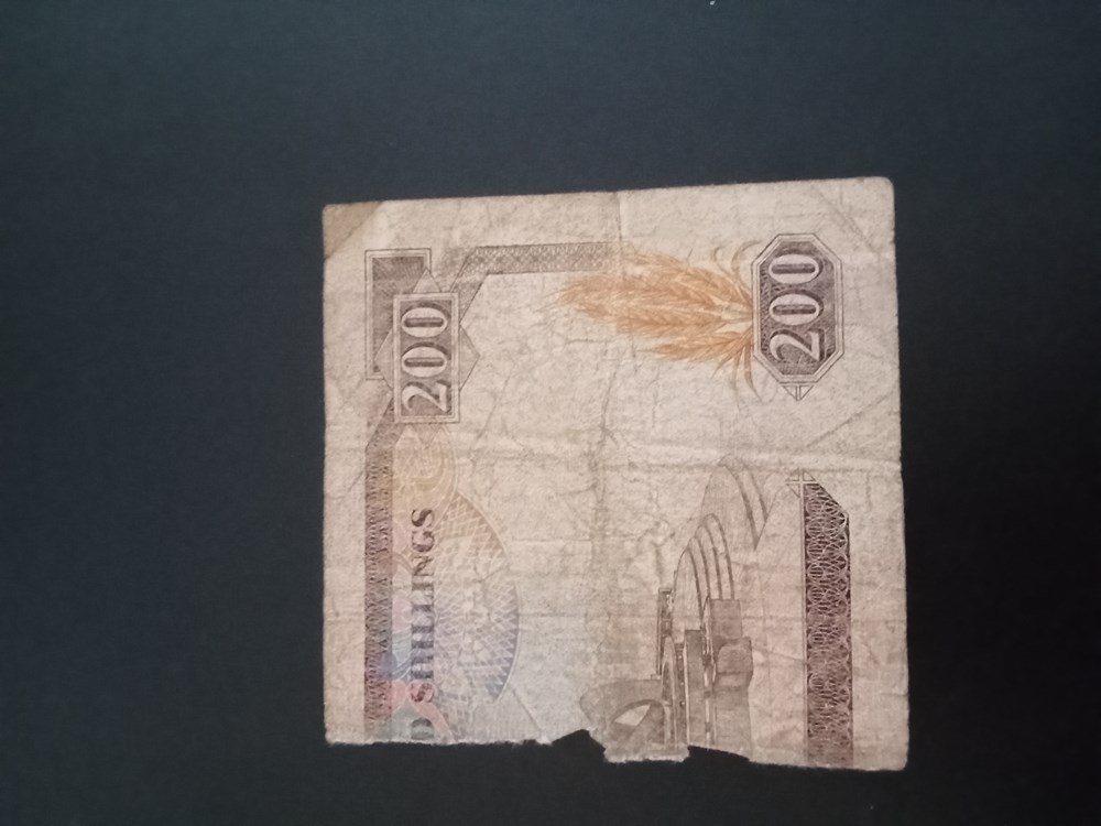 banknotes img20240212154156