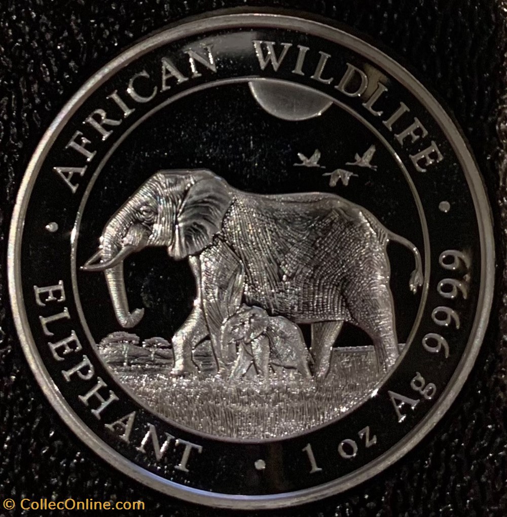 African elephant monnaies monde somalie african elephant