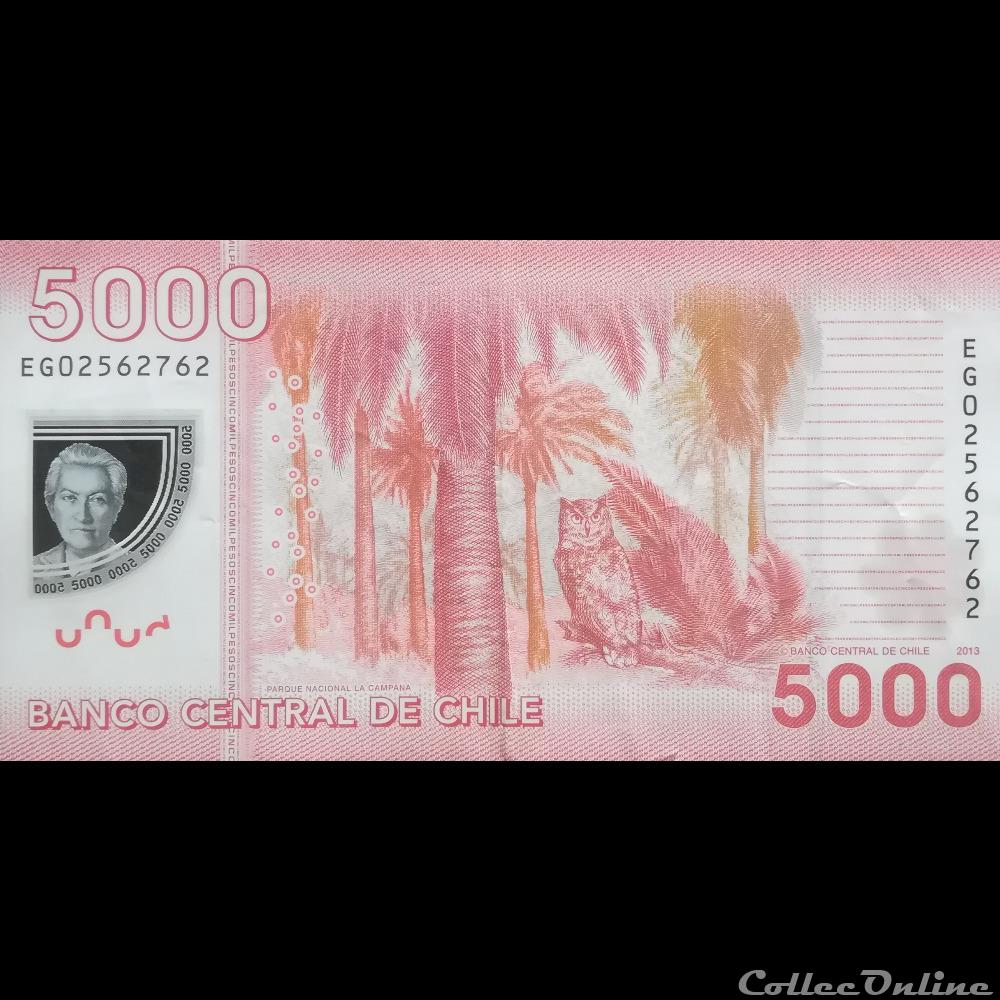 CHILI - P 163 D - 5000 PESOS - 2013 billet amerique du sud chili p 163 d 5000 pesos 2013