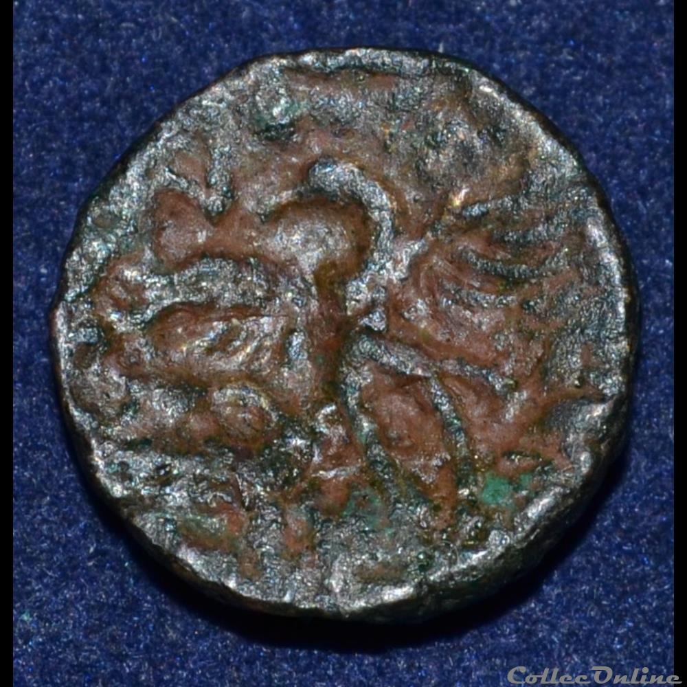 monnaie antique gauloise bituriges cubes region de bourges bronze caliagiid a l aiglon de levroux