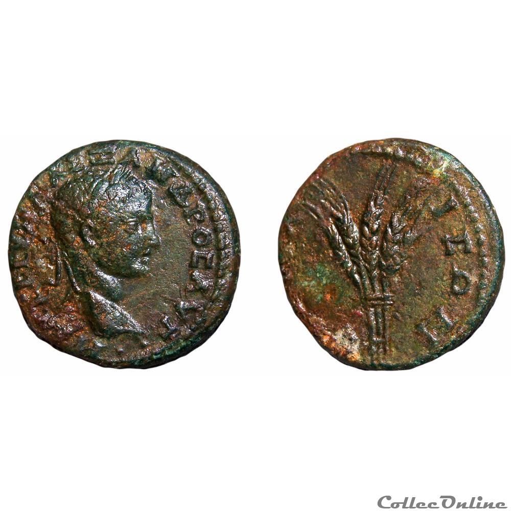 Alexandre Sévère / Nicée, Bithynie / Epis de blé / Très rare monnaies antiques romaines provinciales alexandre severe nicee bithynie epis de ble tres rare