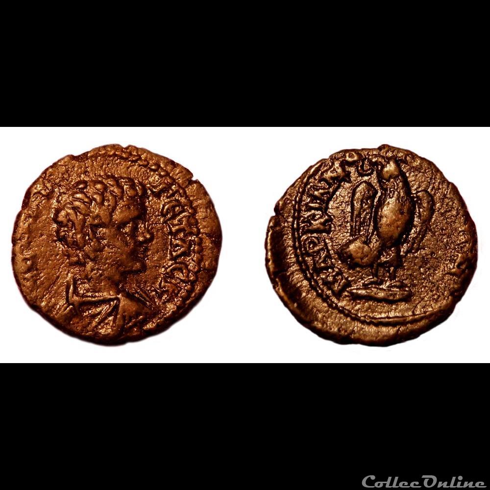Geta / Marcianopolis, Mésie Inférieure / Aigle monnaie antique av jc ap romaine provinciale geta marcianopolis mesie inferieure aigle