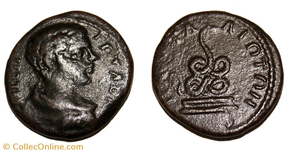 monnaie antique av jc ap romaine provinciale geta pautalia thrace serpent rare