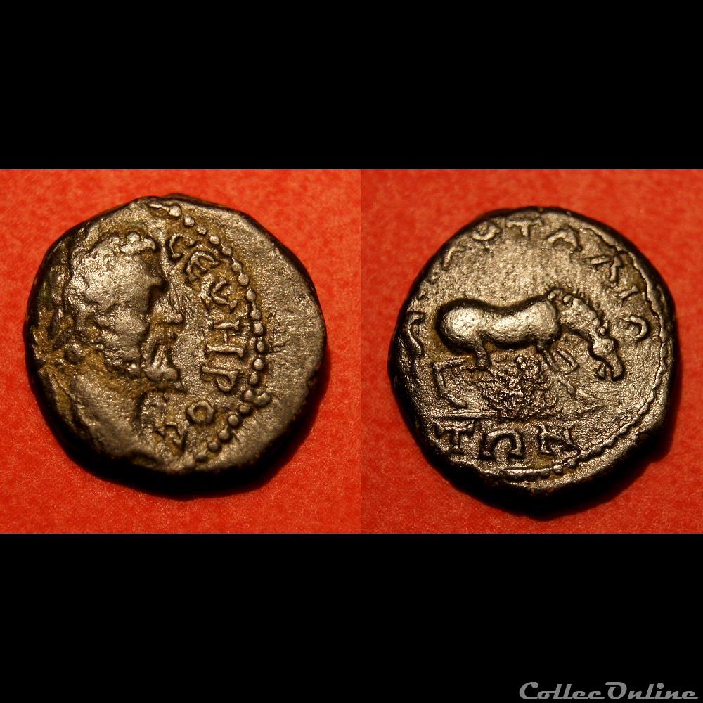 Septime Sévère / Pautalia, Thrace / Cheval / Très rare et non publiée monnaie antique av jc ap romaine provinciale septime severe pautalia thrace cheval tres rare et non publiee