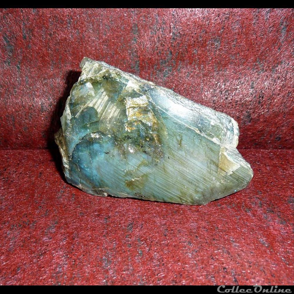 LABRADORITE - variété d'Anorthite. 2 coquillage fossile gastropodum labradorite variete anorthite