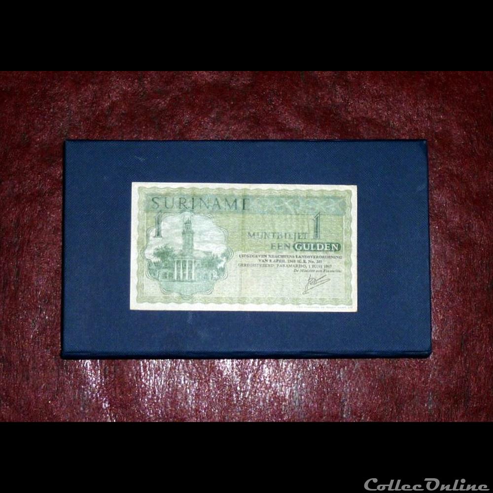 billet amerique du nord diver suriname