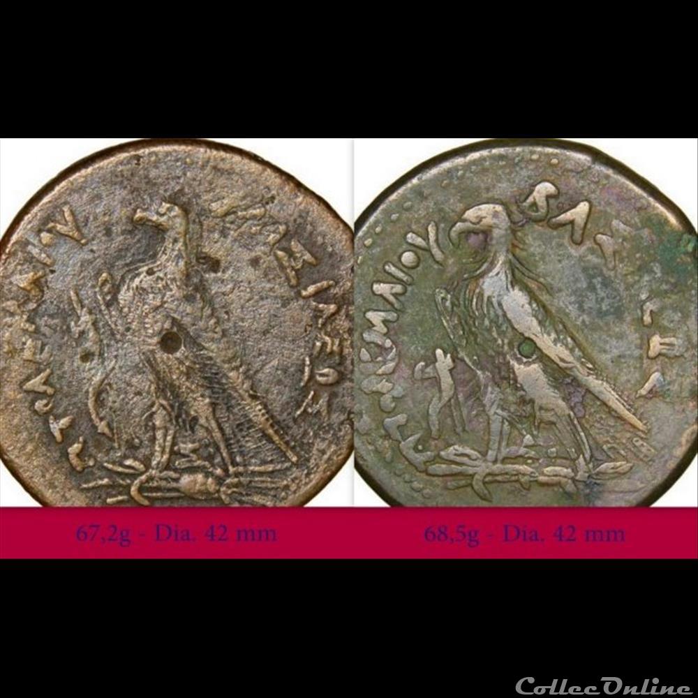 EGYPTE des Ptolémée 3 monnaie antique grecque egypte des ptolemee