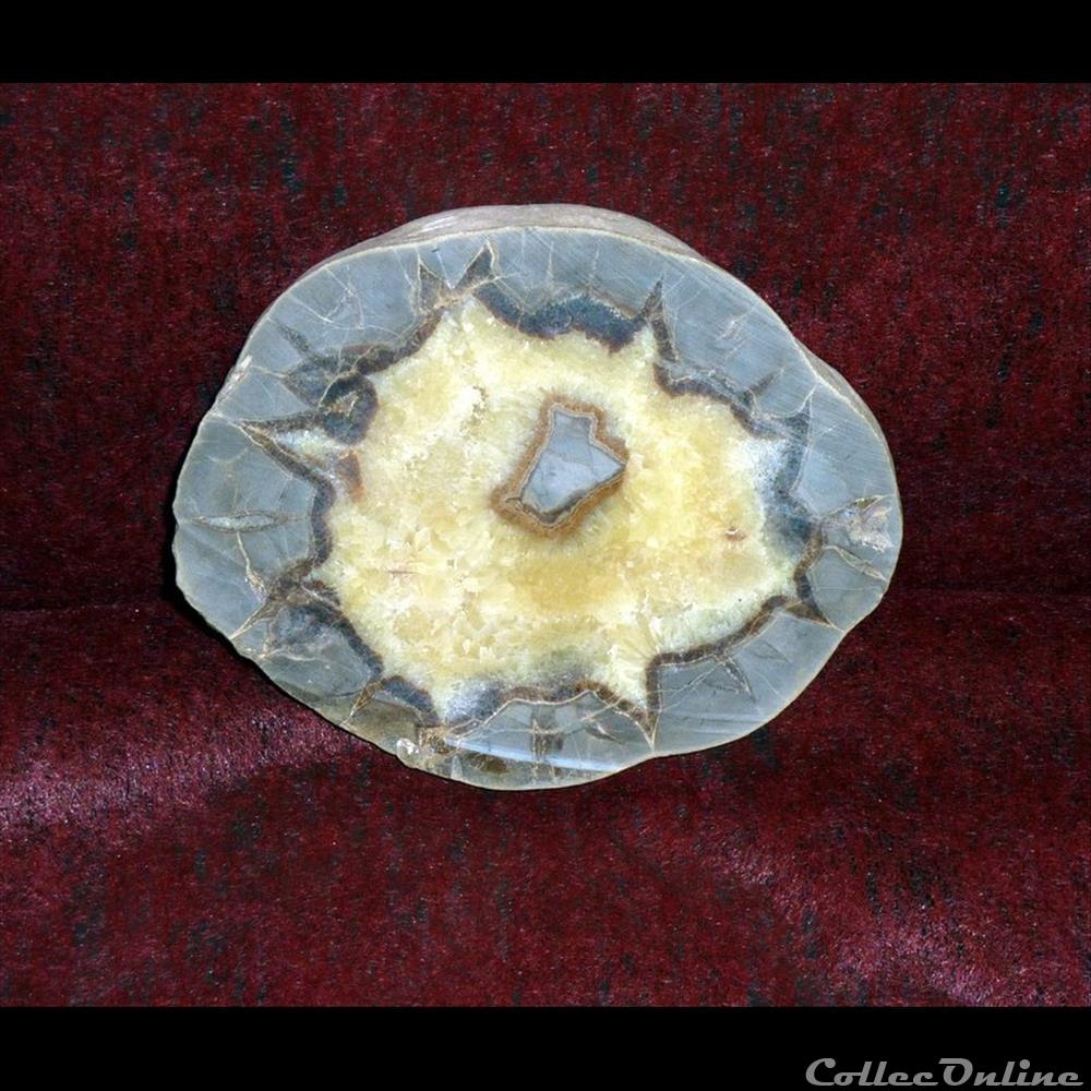 SEPTARIA - 3 mineraux amerique du nord diver septaria