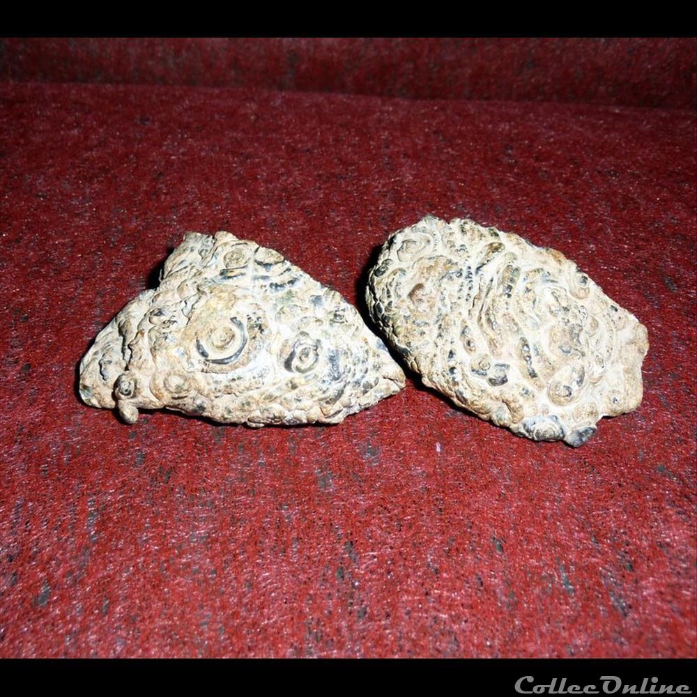 GEODE - Cristalisation de Quartz du Brésil. 2 mineraux amerique nord diver geode cristalisation de quartz du bresil
