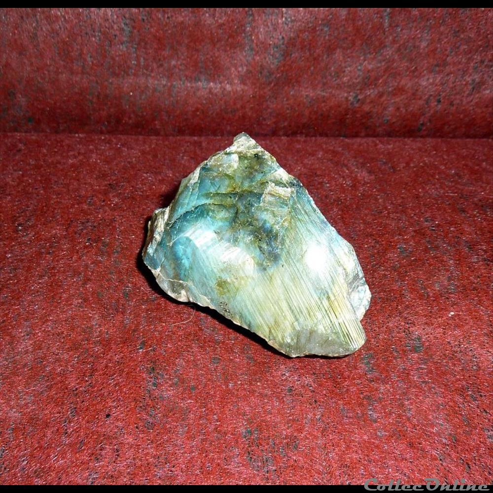 LABRADORITE - variété d'Anorthite. 4 coquillage fossile gastropodum labradorite variete anorthite
