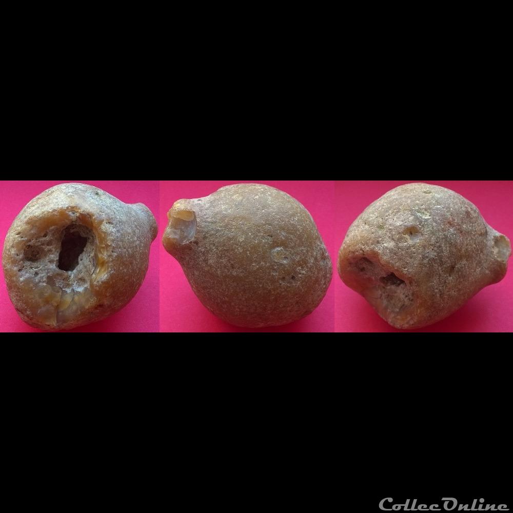 Eponge fossile en silice. art antiquite archeologie europe eponge fossile en silice