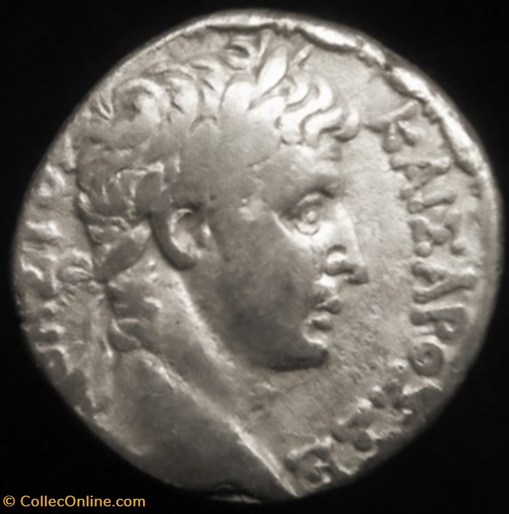 Tétradrachme syro-phénicien d'Auguste pour Antioche monnaies antiques romaines provinciales tetradrachme syro phenicien auguste pour antioche