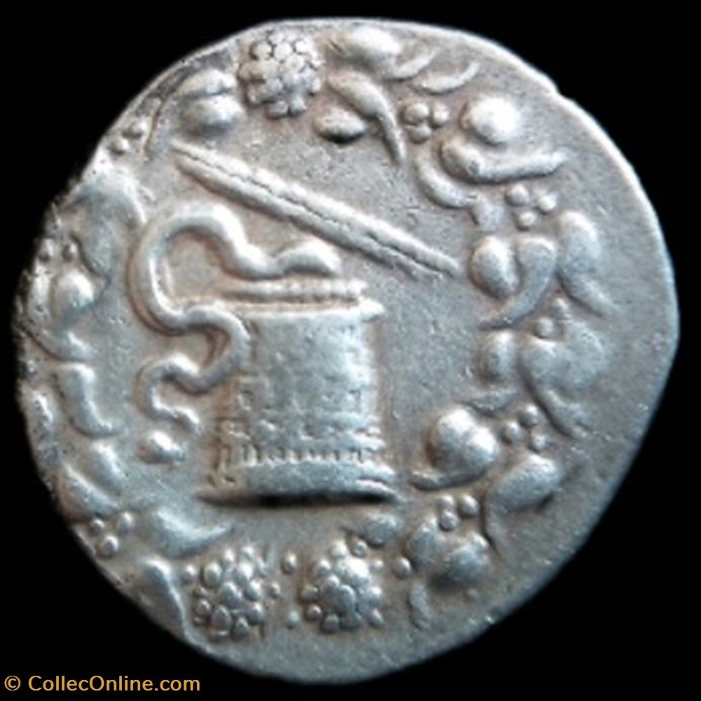Cistophore de Tralles frappé entre -134/-128 av JC monnaies antiques grecques cistophore de tralles frappe entre 134 128 av jc