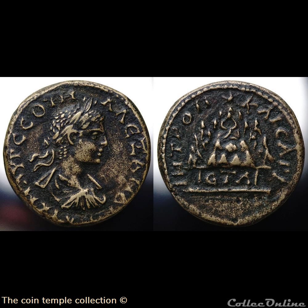 Severus Alexander AE25 munzen antike romische provinzial severus alexander ae25