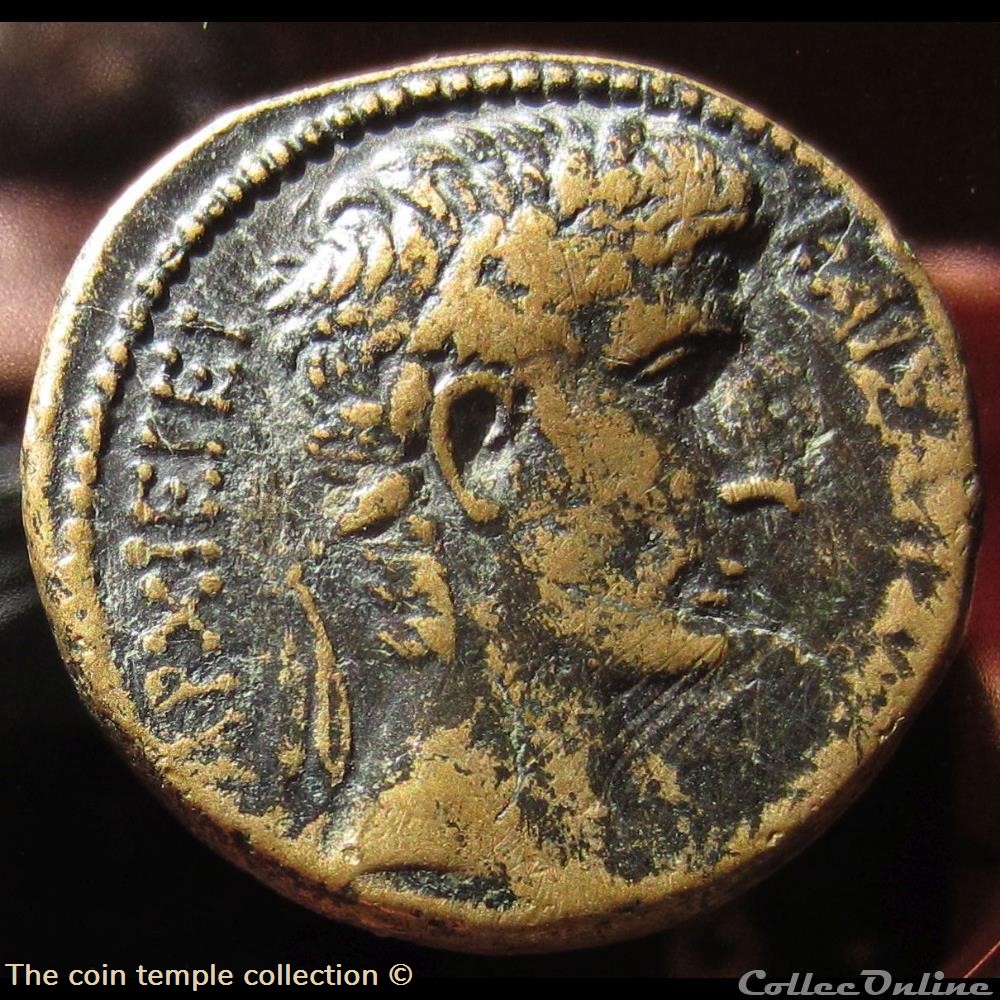 Augustus SYRIA, Seleucis & Pieria. Antioch, BMC 141, RPC I 4257 2 munzen antike bis romische provinzial augustus syria seleucis pieria antioch bmc 141 rpc i 4257