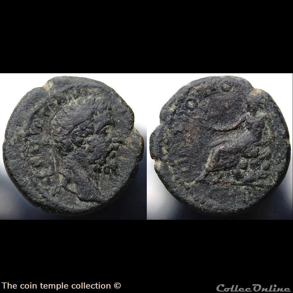 Septimius Severus AE 20 munzen antike romische provinzial septimius severus ae 20