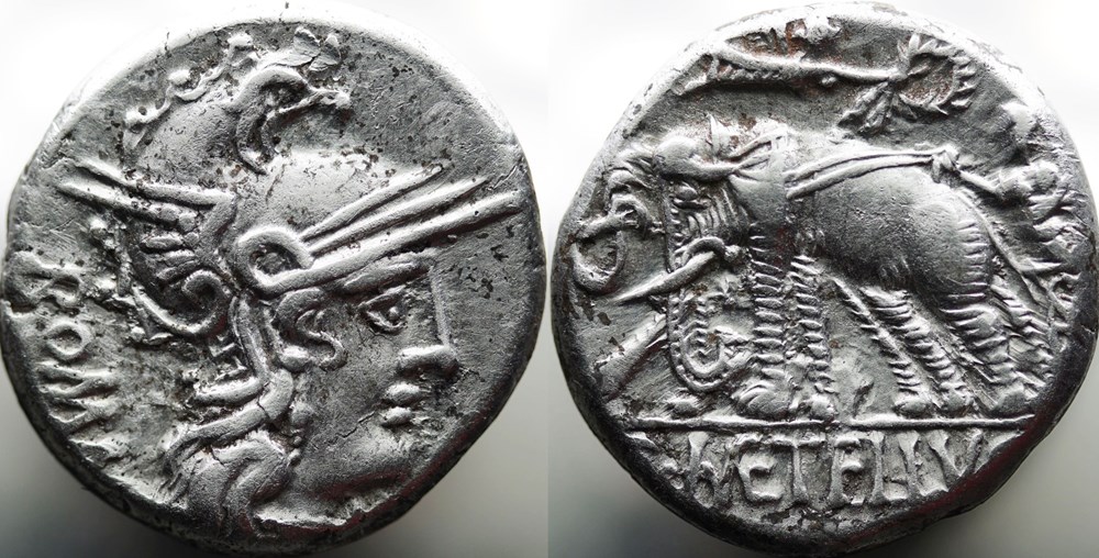 Crawford 269/1, C. METELLVS (C. Caelius Metellus Caprarius) Denar, 125 BC, Rom munzen antike bis romische imperial und republik crawford 269 1 c metellvs c caelius metellus caprarius denar 125 bc rom