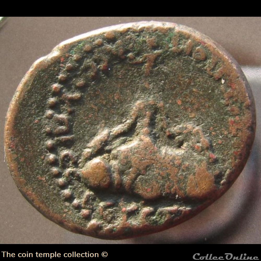 munzen antike romische provinzial domitian ae25