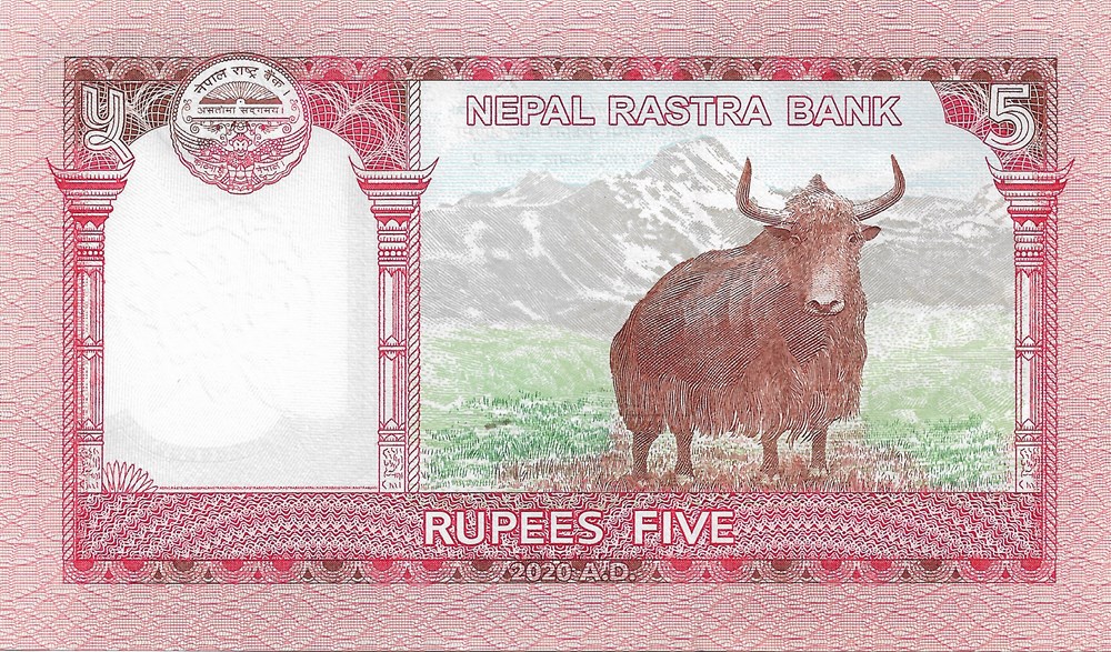 5 roupies billets asie nepal 5 roupies