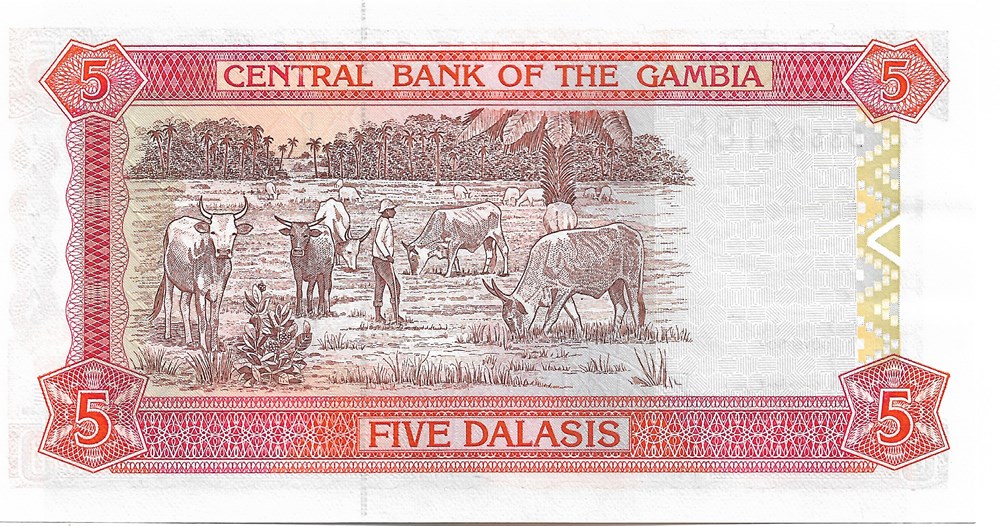 billets afrique gambie 5 dalasis
