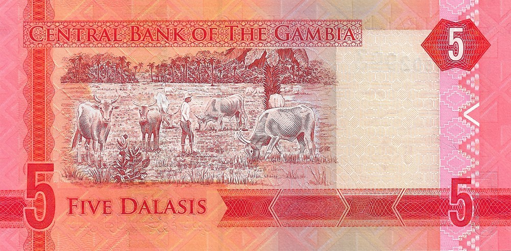 billets afrique gambie 5 dalasis