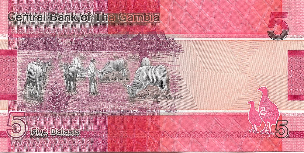 billets afrique gambie 5 dalasis